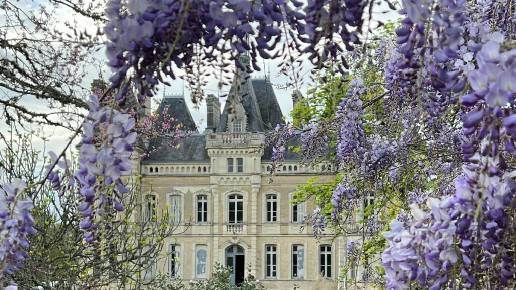 A romantic French château framed by wisteria in bloom, showing the elegance and charm of choosing to get married in France.