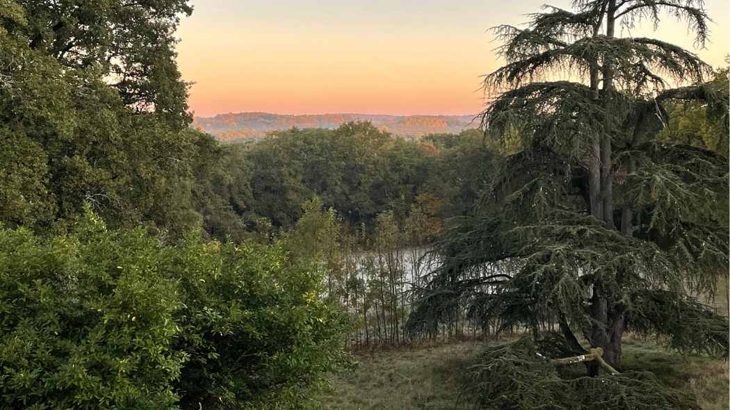 View of the English Park at Château de la Boutinière, showing mature trees, open grassland, and the surrounding countryside at sunset.