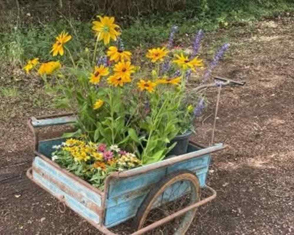 Wheelbarrow filled with flowering plants prepared during Château de la Boutinière Events, part of Garden Days activities in the château grounds.