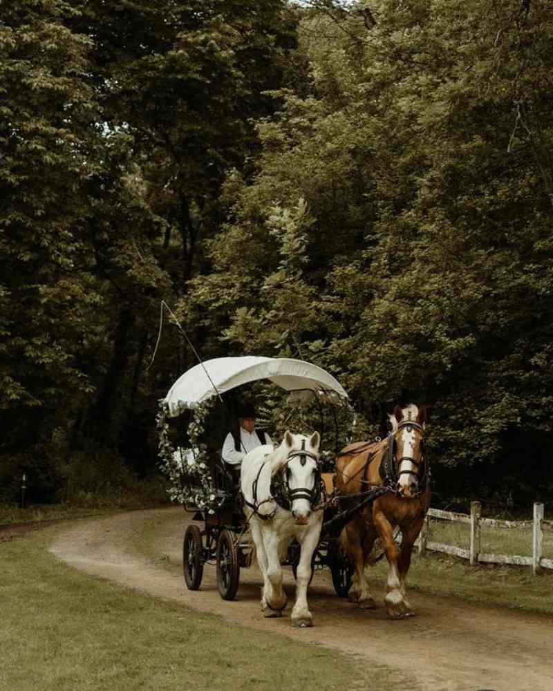 Horse-drawn carriage arriving through the woodland grounds at Château de la Boutinière, a romantic micro wedding venue in France.