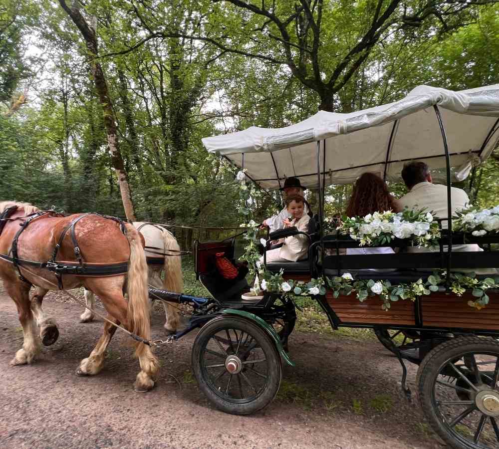 Horse-drawn carriage decorated with white flowers carrying a wedding couple and their child through the woodland grounds of Château de la Boutinière, part of a romantic micro wedding venue experience in France.