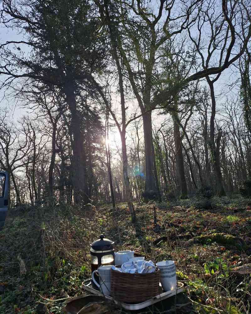 A tray with coffee, cups and croissants sits outdoors in the winter woodland after work clearing storm damage on the estate.