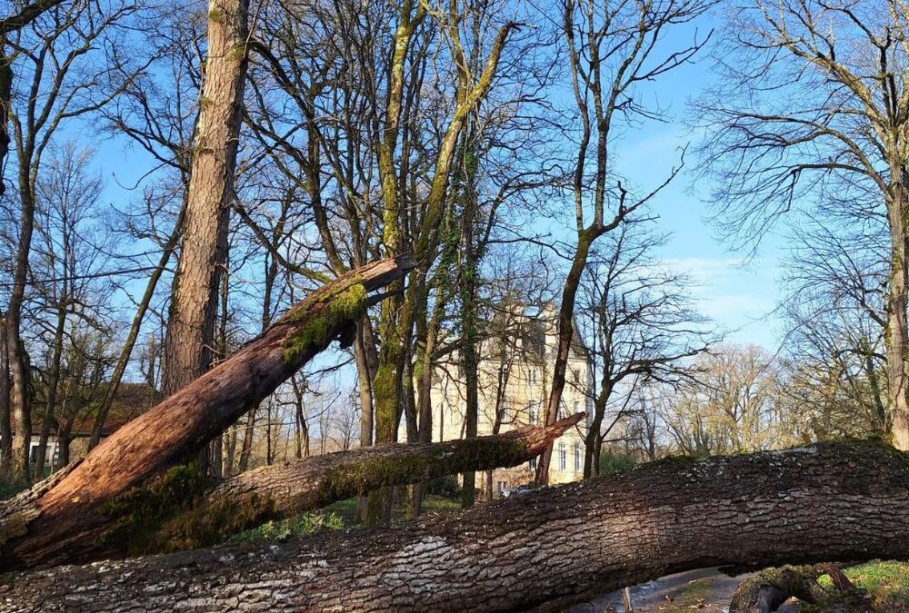 Storm Damage at Château de la Boutinière