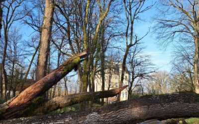 Storm Damage at Château de la Boutinière