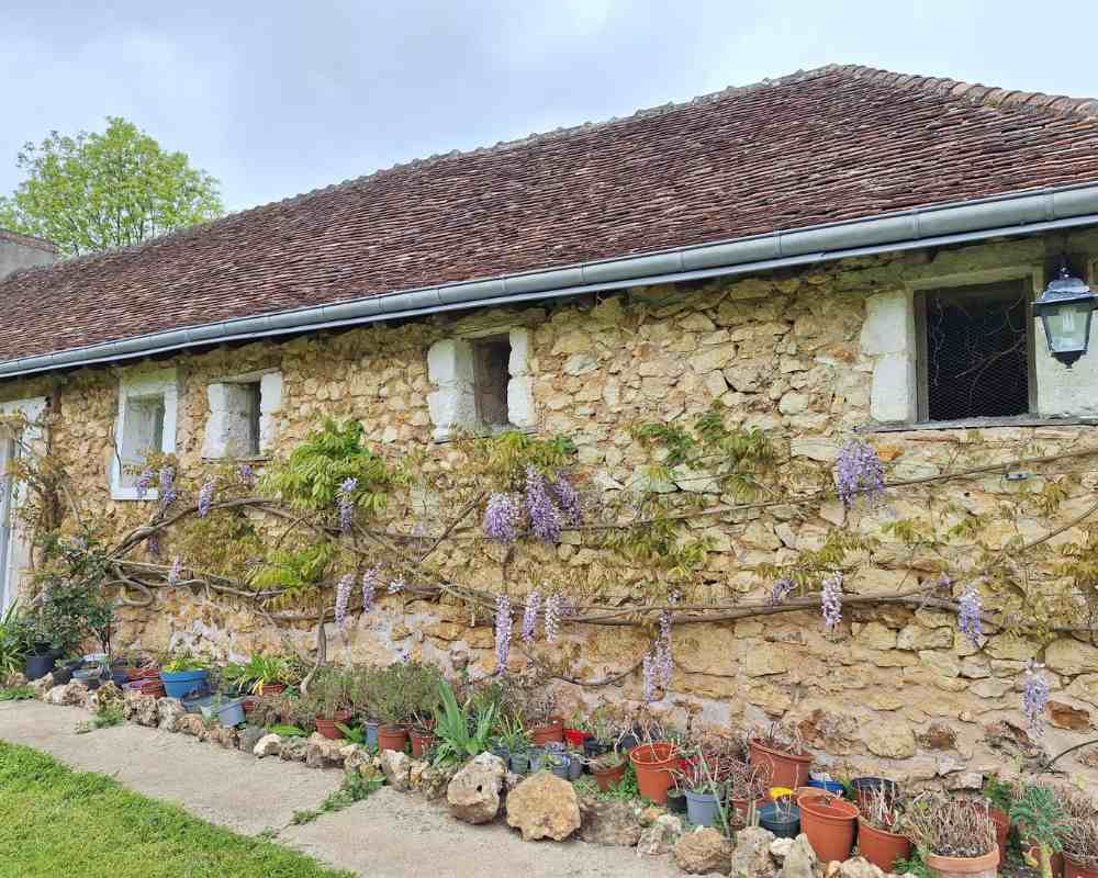 Wisteria, potted plants and spring flowers adding colour to one of the château’s old stone buildings.